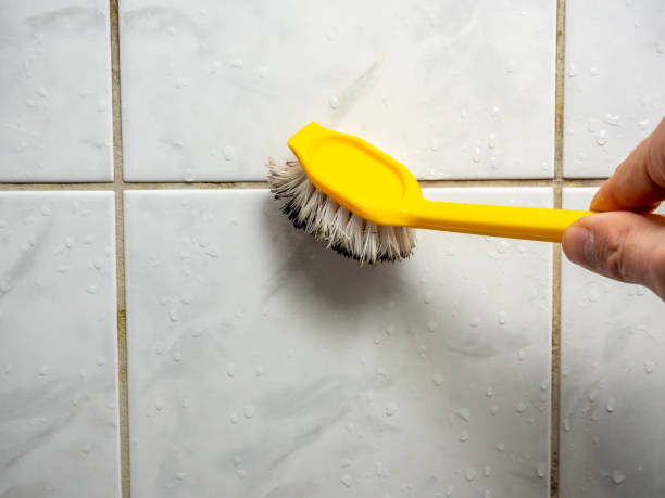 Best Residential Mold Remediation in Crest Hl, IL