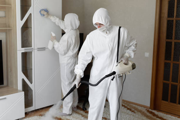 Crest Hill, IL Mold Remediation Company